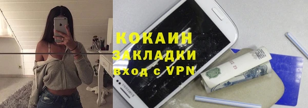мяу мяу мука Бородино