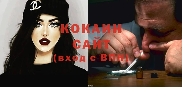 мяу мяу мука Бородино