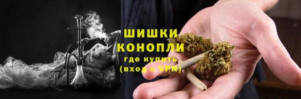 мдпв Бронницы