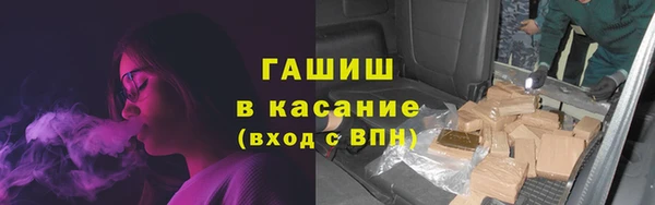 мяу мяу мука Бородино
