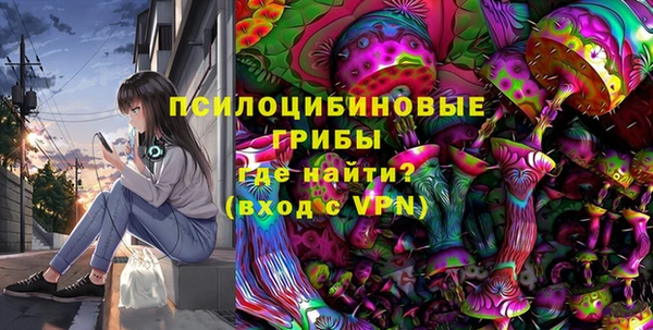мдпв Бронницы