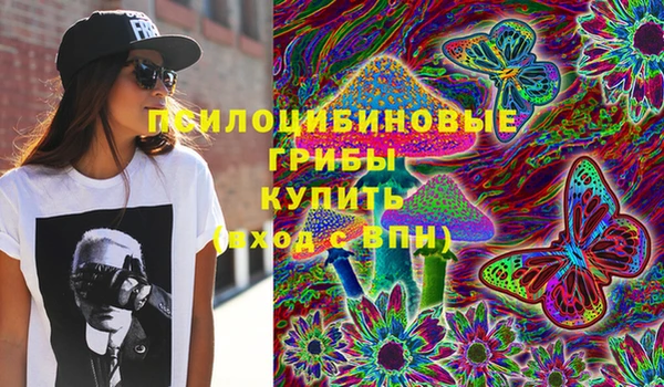 мдпв Бронницы
