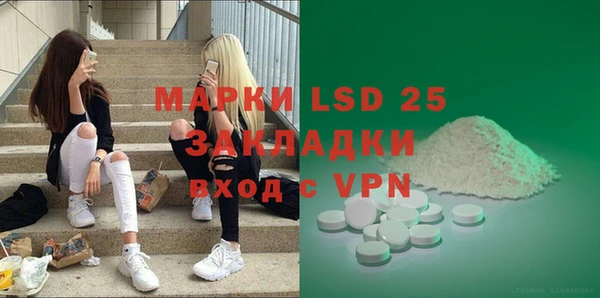 мяу мяу мука Бородино