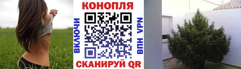 Конопля индика Купить закладки Лысьва